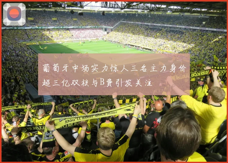 葡萄牙中场实力惊人三名主力身价超三亿双核与B费引发关注