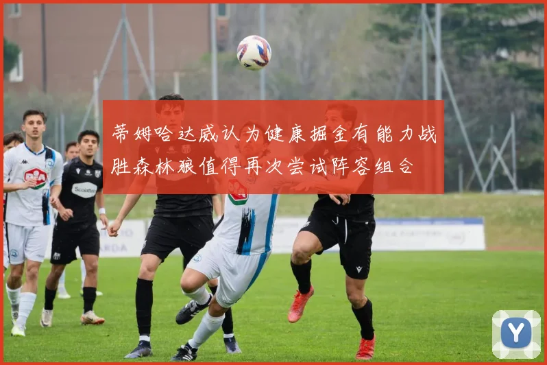 蒂姆哈达威认为健康掘金有能力战胜森林狼值得再次尝试阵容组合