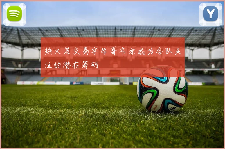 热火若交易字母哥韦尔成为各队关注的潜在筹码