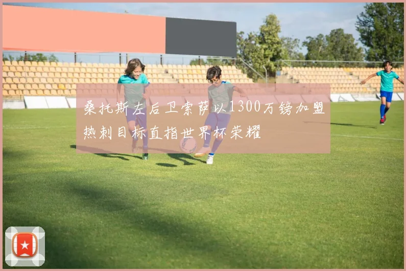 桑托斯左后卫索萨以1300万镑加盟热刺目标直指世界杯荣耀
