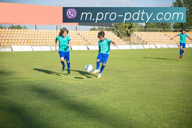 辅助工具